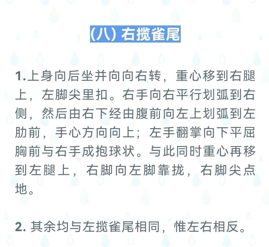 天天体育手机版