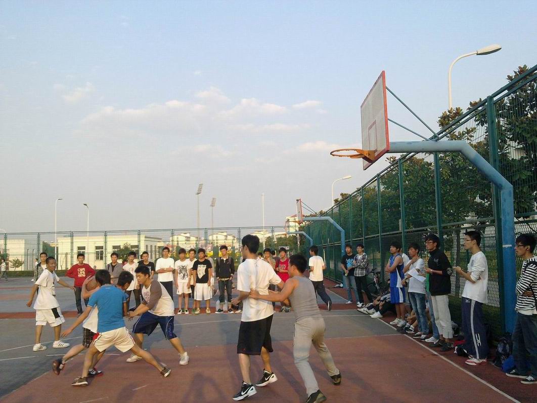 天天体育指定入口图片