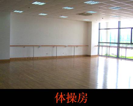 网球场