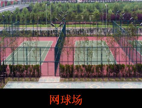 篮球场