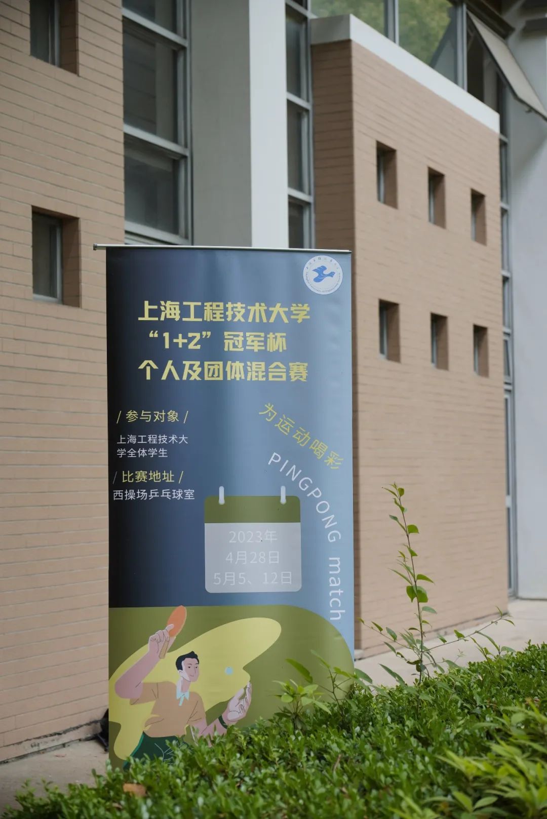 天天体育稳定线路