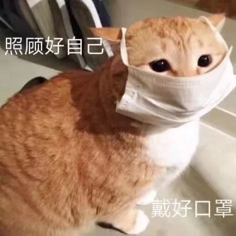 天天体育直播